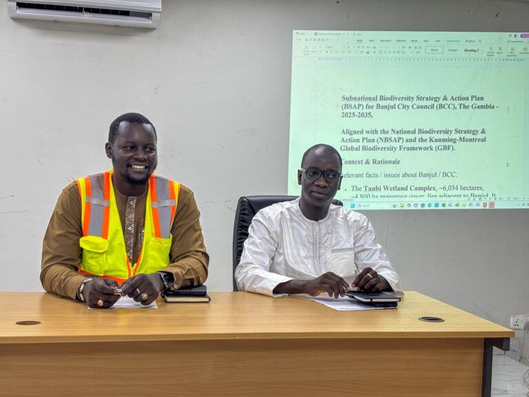 Banjul City Council Update